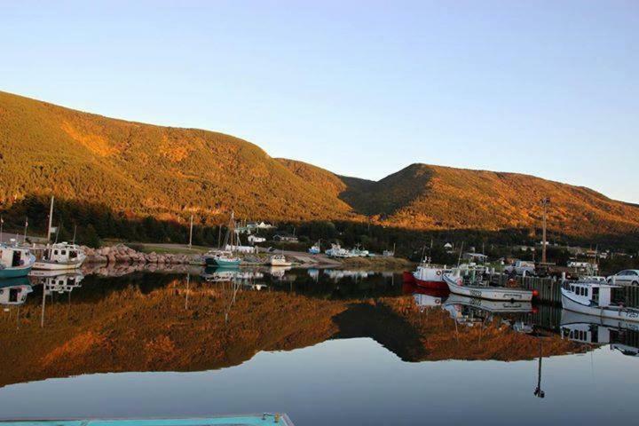 Burton'S Sunset Oasis Motel Bay Saint Lawrence Екстериор снимка