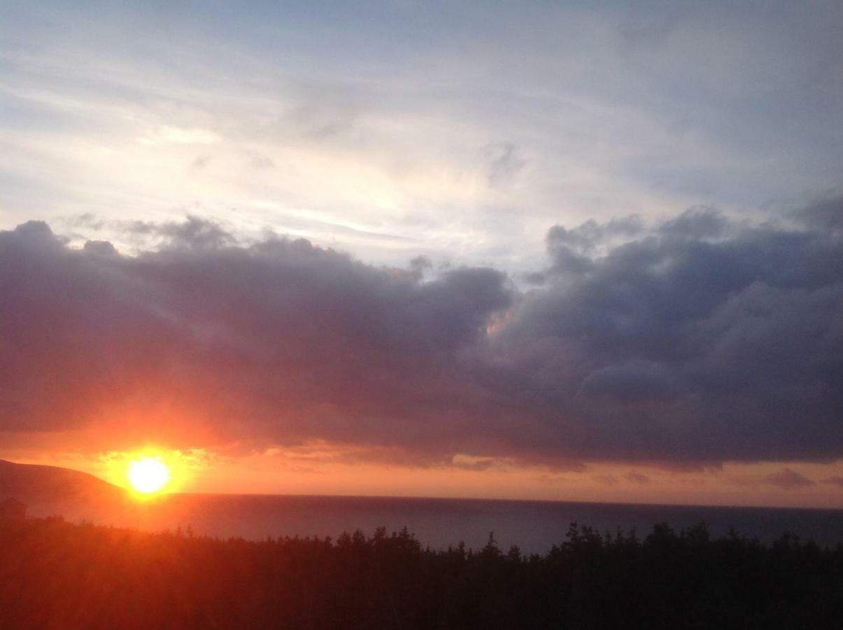 Burton'S Sunset Oasis Motel Bay Saint Lawrence Екстериор снимка