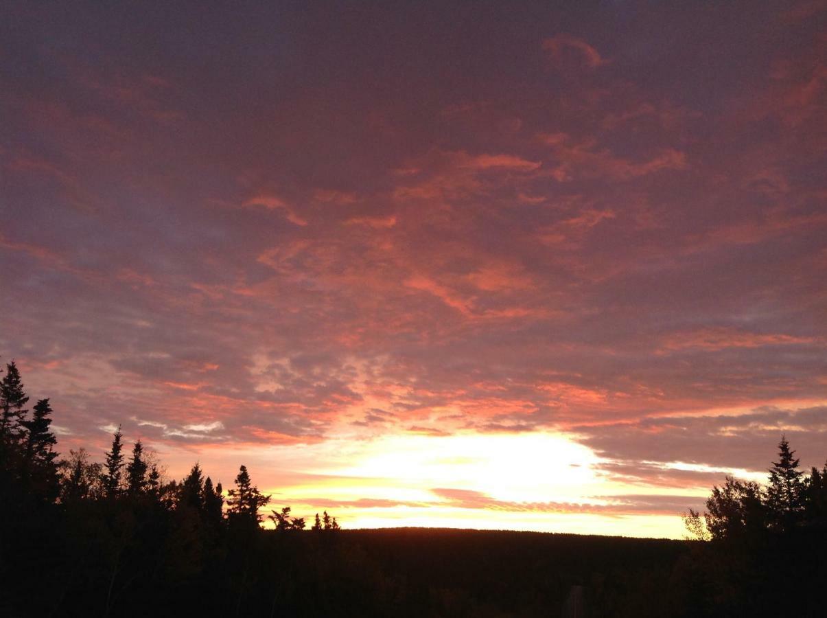 Burton'S Sunset Oasis Motel Bay Saint Lawrence Екстериор снимка